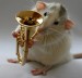 Myš a trúbka :)